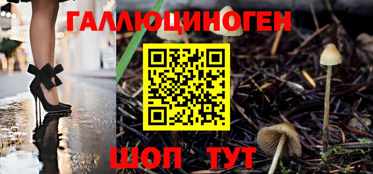 Псилоцибиновые грибы ЛСД Краснодар